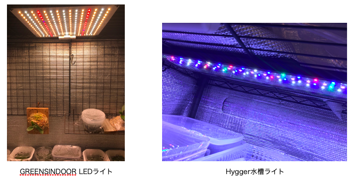GREENSINDOOR LEDライト、Hyggerの水槽ライト
