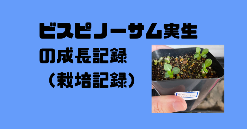 b4c174d21fbd7d840fc3ab9fd625fe